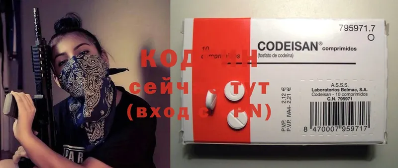 hydra маркетплейс  дарнет шоп  Михайловск  Codein Purple Drank 